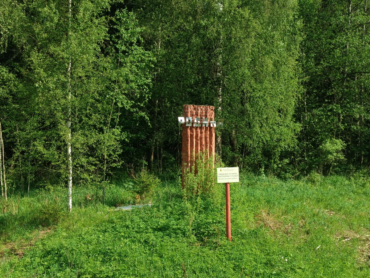 Большесельский район, Ярославская область. 