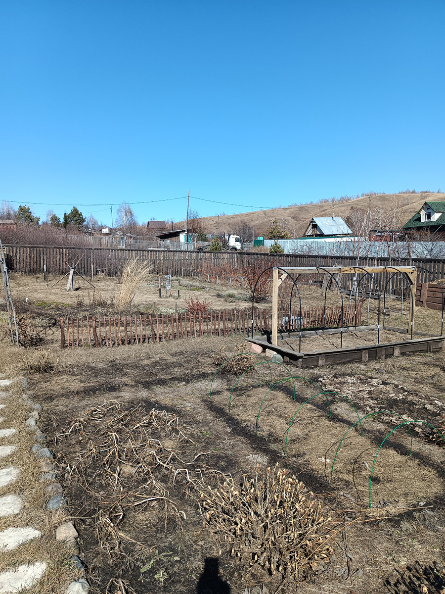 Огород и сад 1 апреля 2026г.