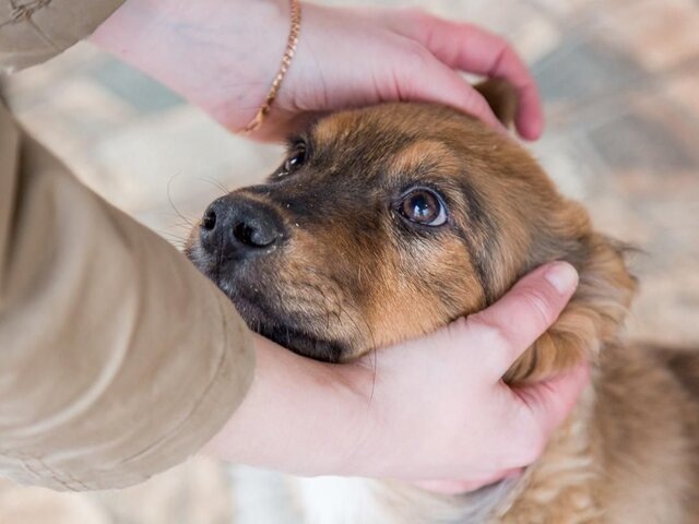    Фото: пресс-служба комплекса городского хозяйства Москвы