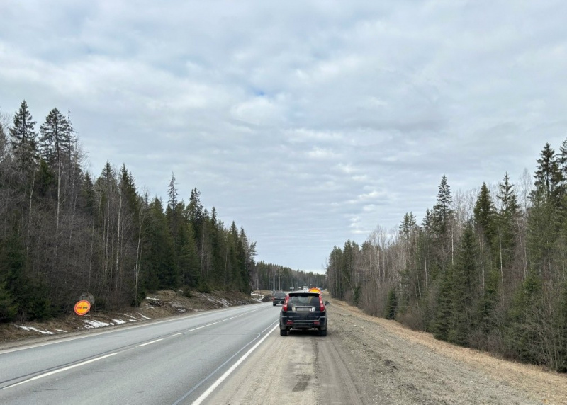    Скрытый патруль в Прионежье поймал неопытного водителя-лихачаГосавтоинспекция Карелии