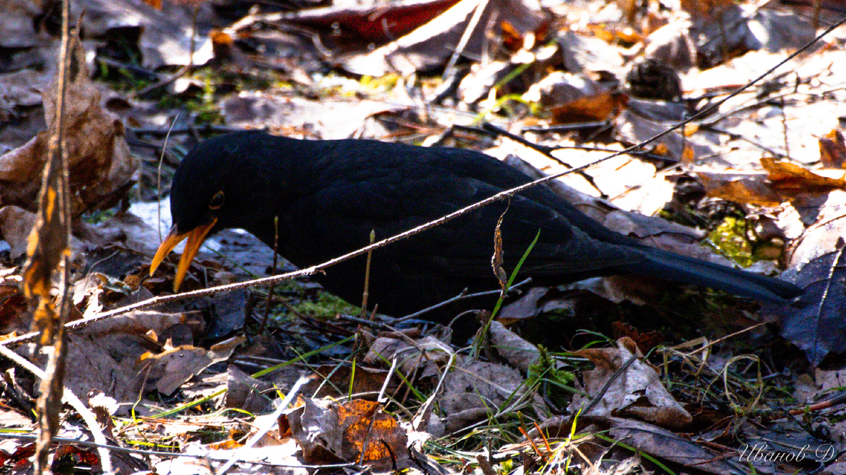 Фото - март 2026