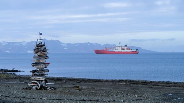    © Sputnik / Никита Назаров