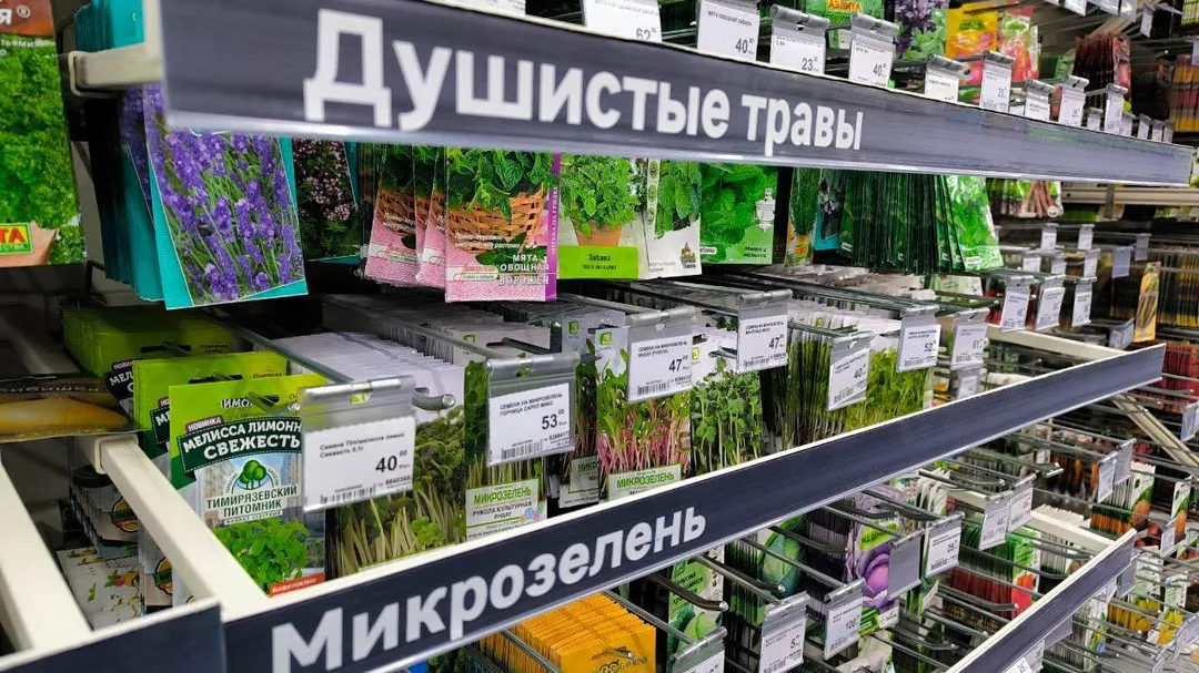 Фото: REGIONS/Роман Малышенко