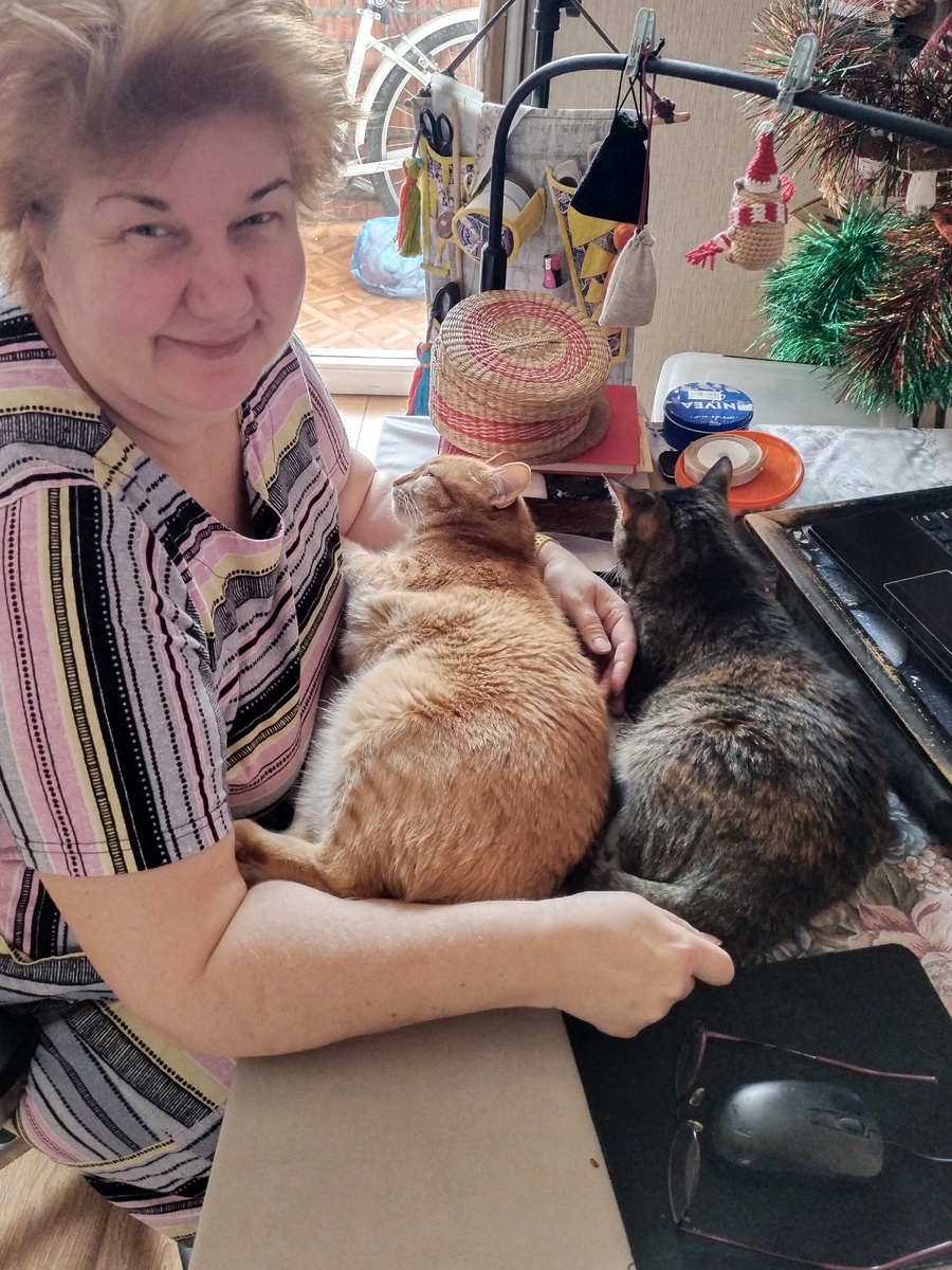 Безумная авторша и её гениальные котики. 