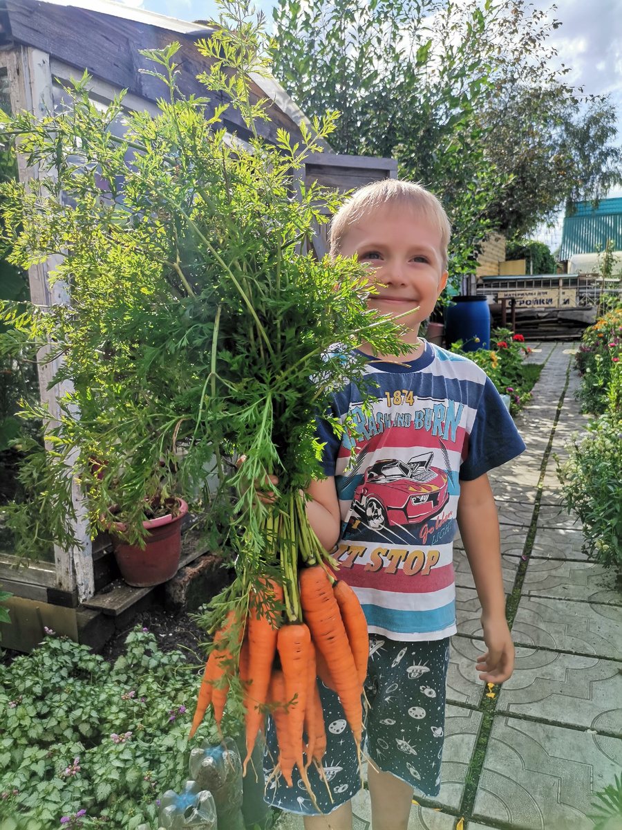 🥕🥕🥕