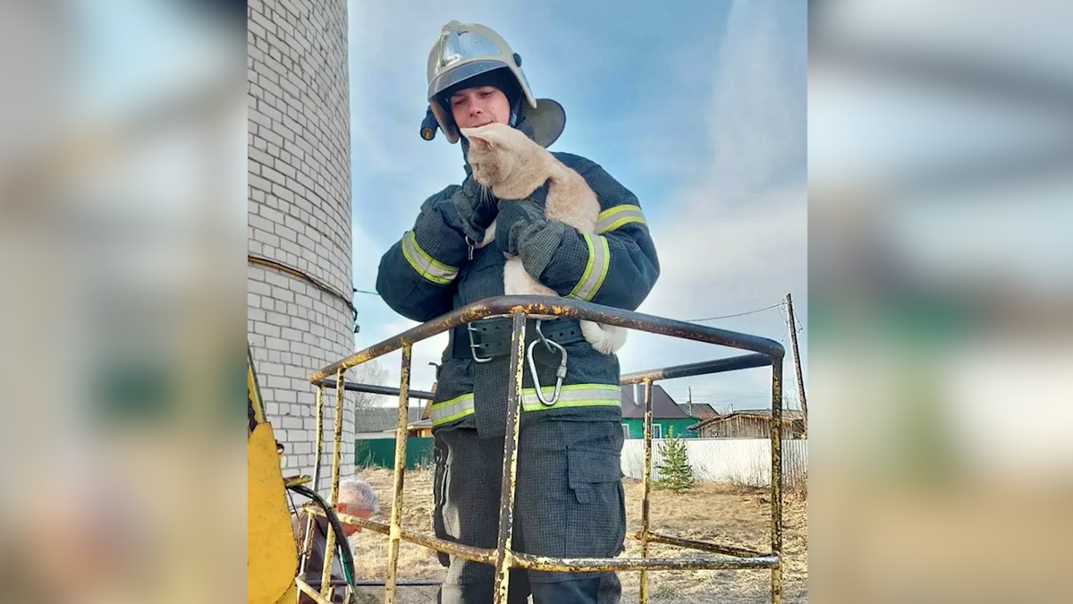    Первый канал