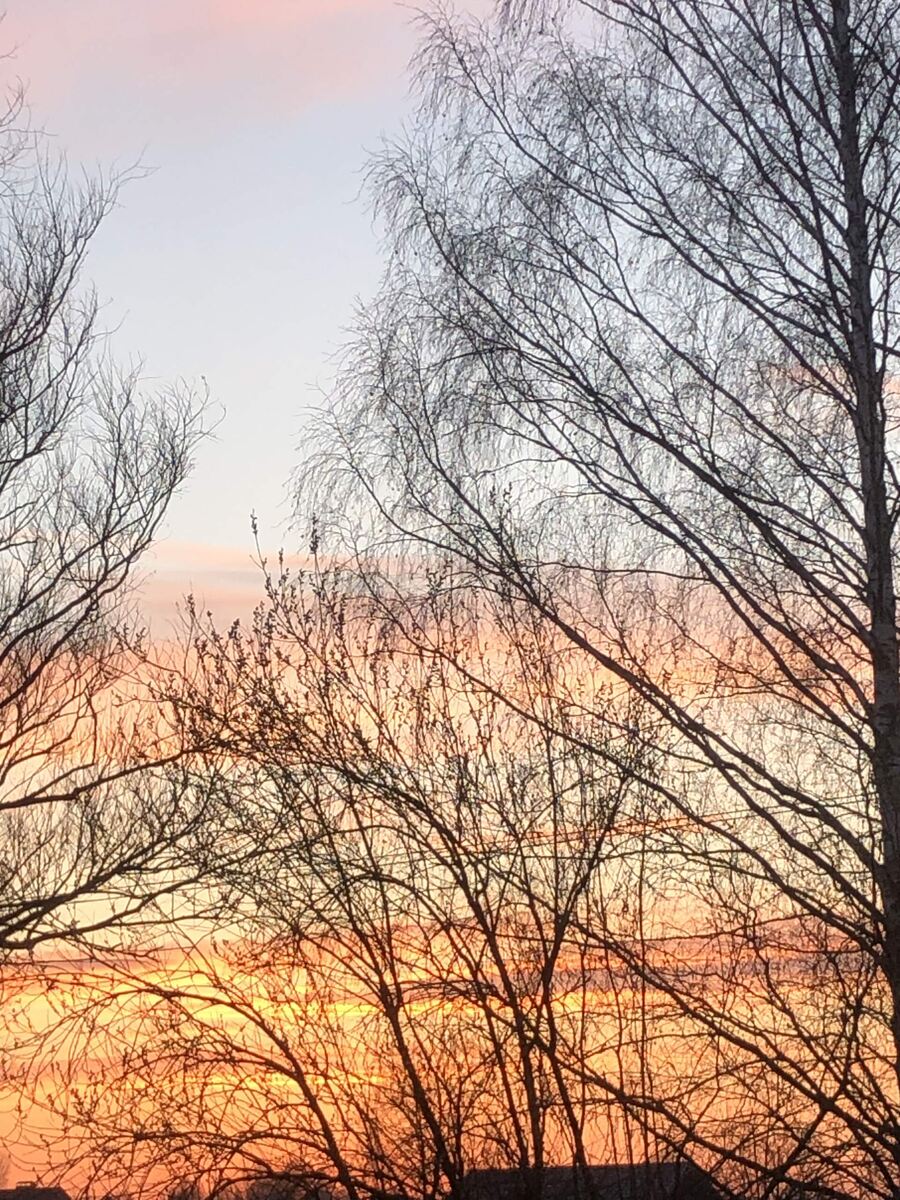 Цвета закатного неба, фото автора.