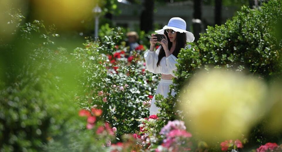    РИА «Новости»