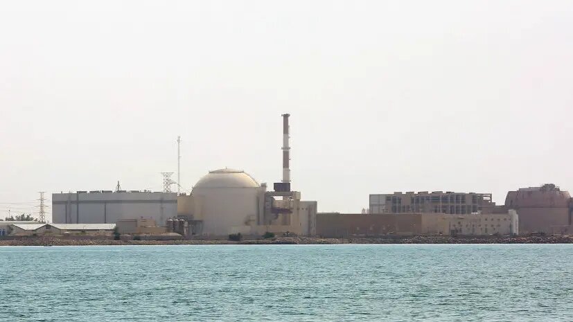    Источник: russian.rt.com Оливия Ильинская