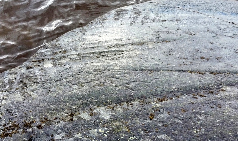 Петроглифы Канозера. Фото: Е.А. Шелковников / CC BY-SA 4.0 / ru.wikipedia.org