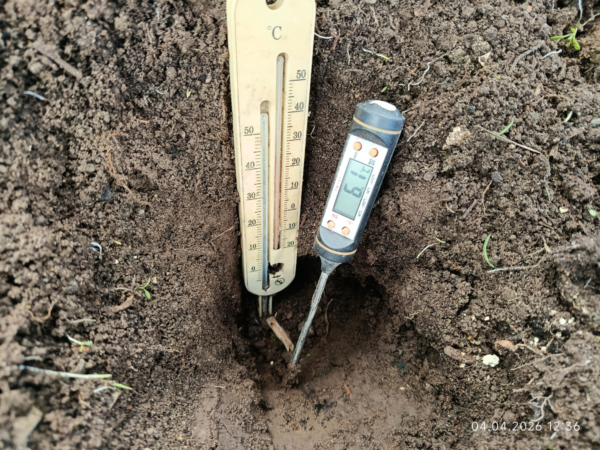 Плюс 6 на глубине 20 см. Полдень, очень солнечно