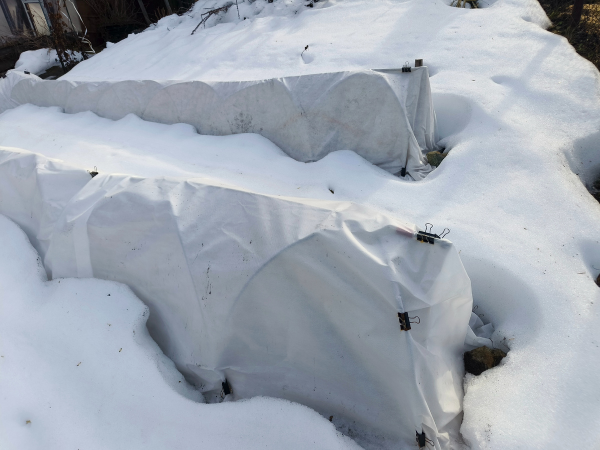 Северный склон