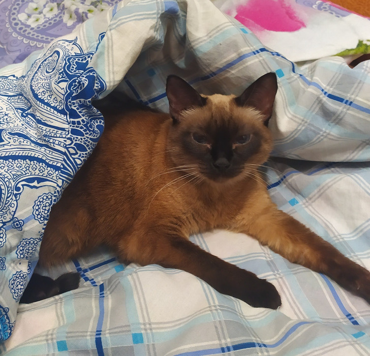 © lblogger / Pikabu