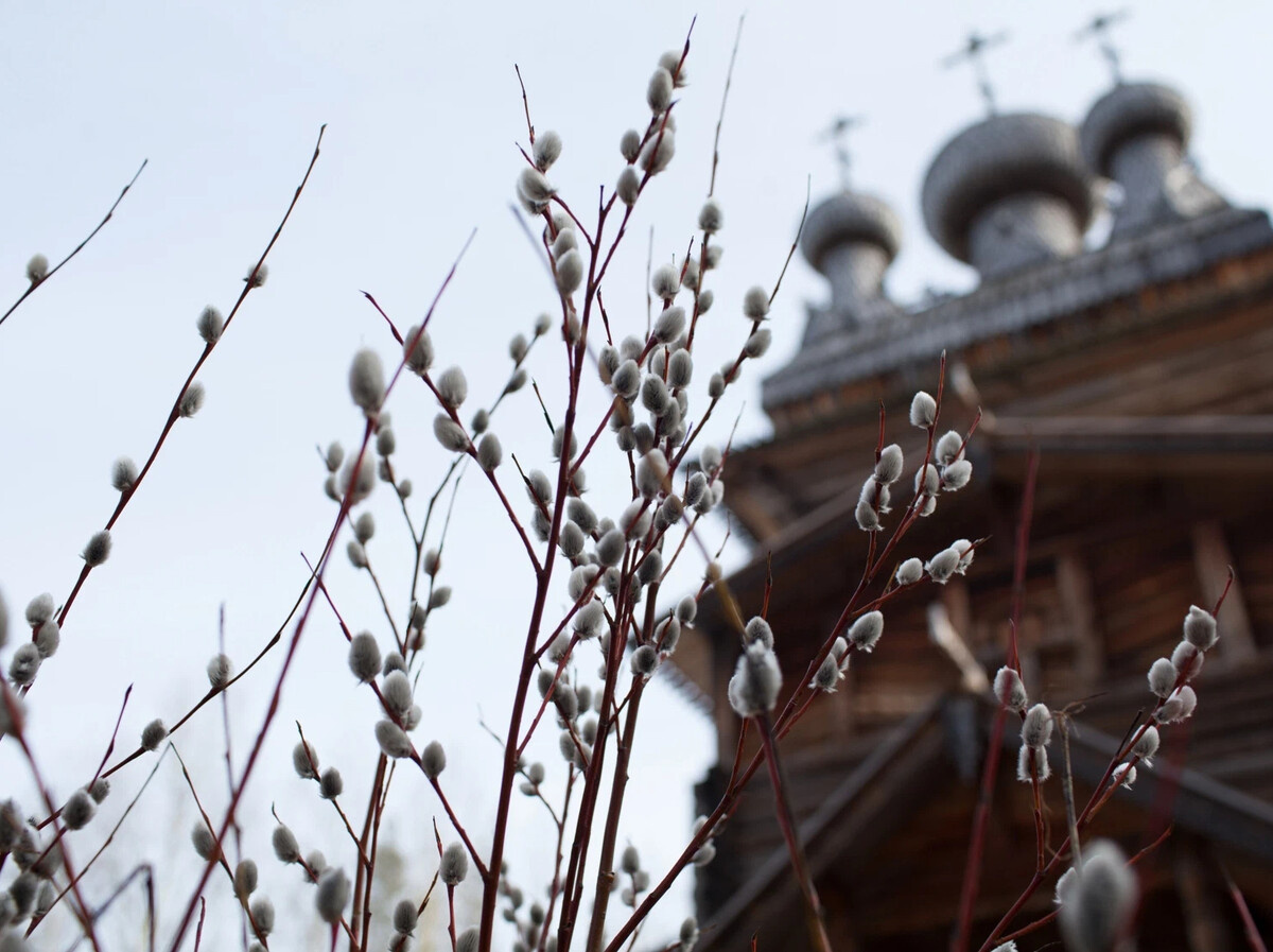 фото фрипик 💝 С любовью к каждому ,Наташа Эльберг- более 25 лет непрерывно практикующий энергопсихолог, кризисный психолог, синестет, автор книг-бестселлеров , автор методики ментальной трансформации и коррекции любых жизненных ситуаций с помощью специальных энергетических практик. Автор - мастер энергетического таро