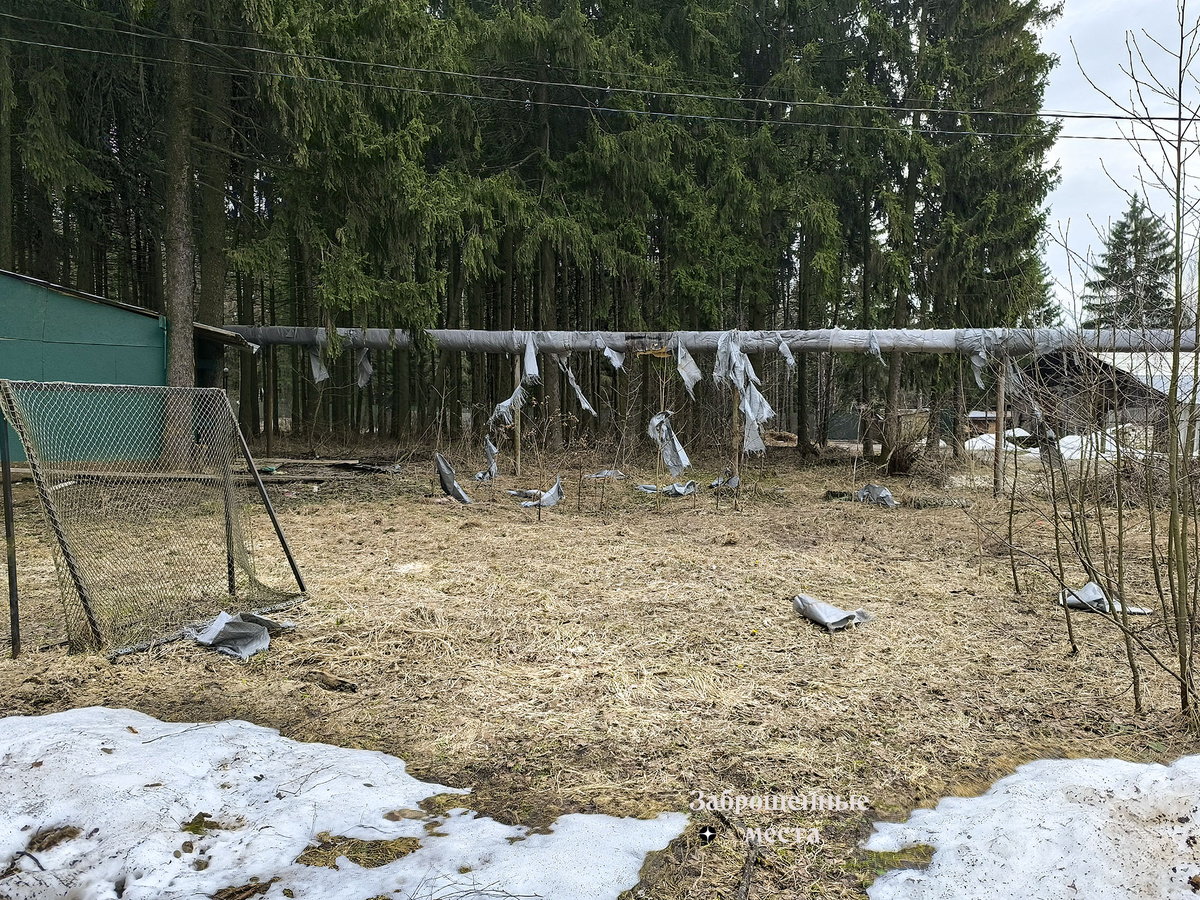 Балабаново. Фото автора. Март 2026 года