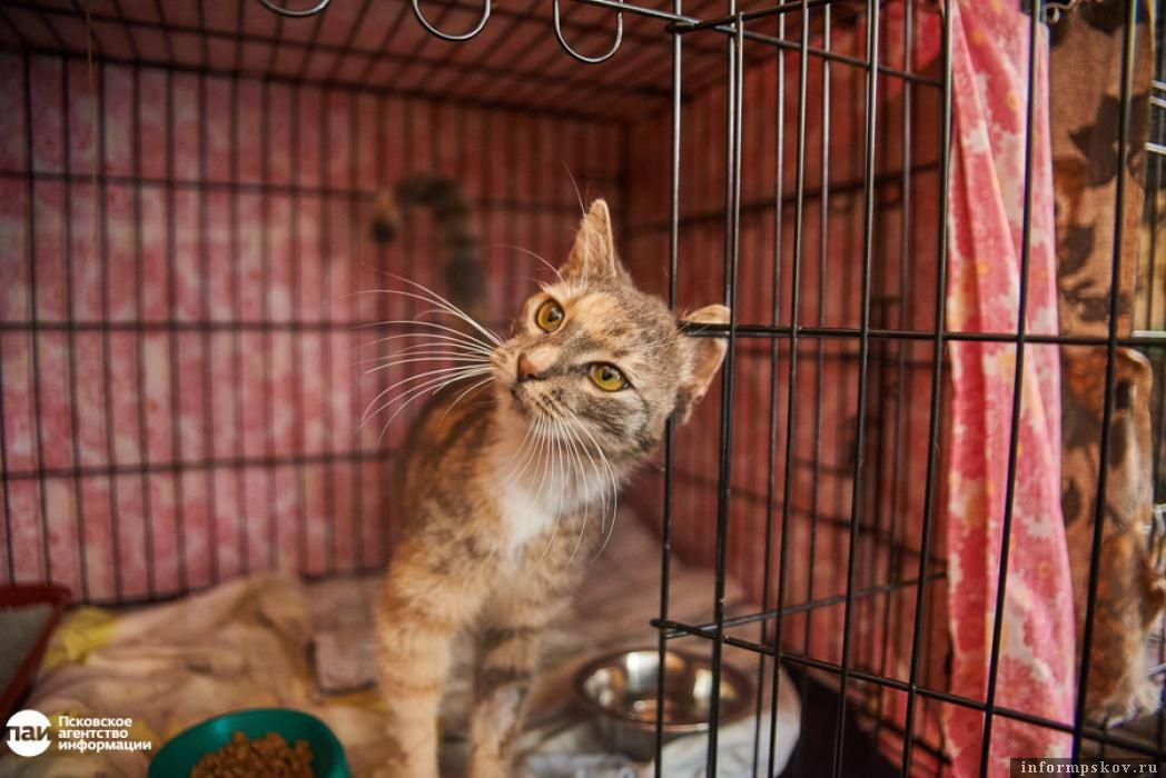 Фото: Дарья Хваткова