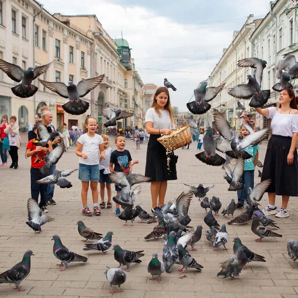 Изображение сгенерировано нейросетью Гигачат📷    Не крысы и не заразные: как волжанин выходил больного голубя
