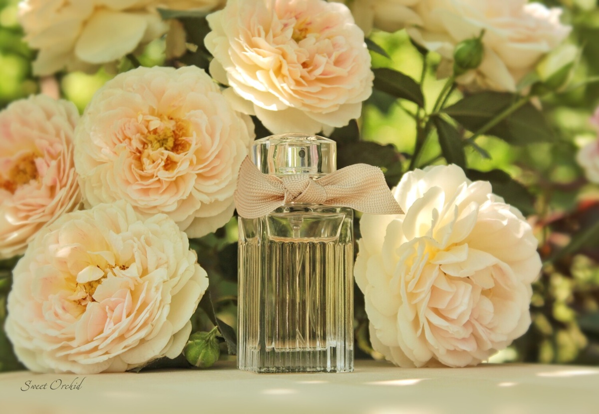 Фото: fragrantica.ru