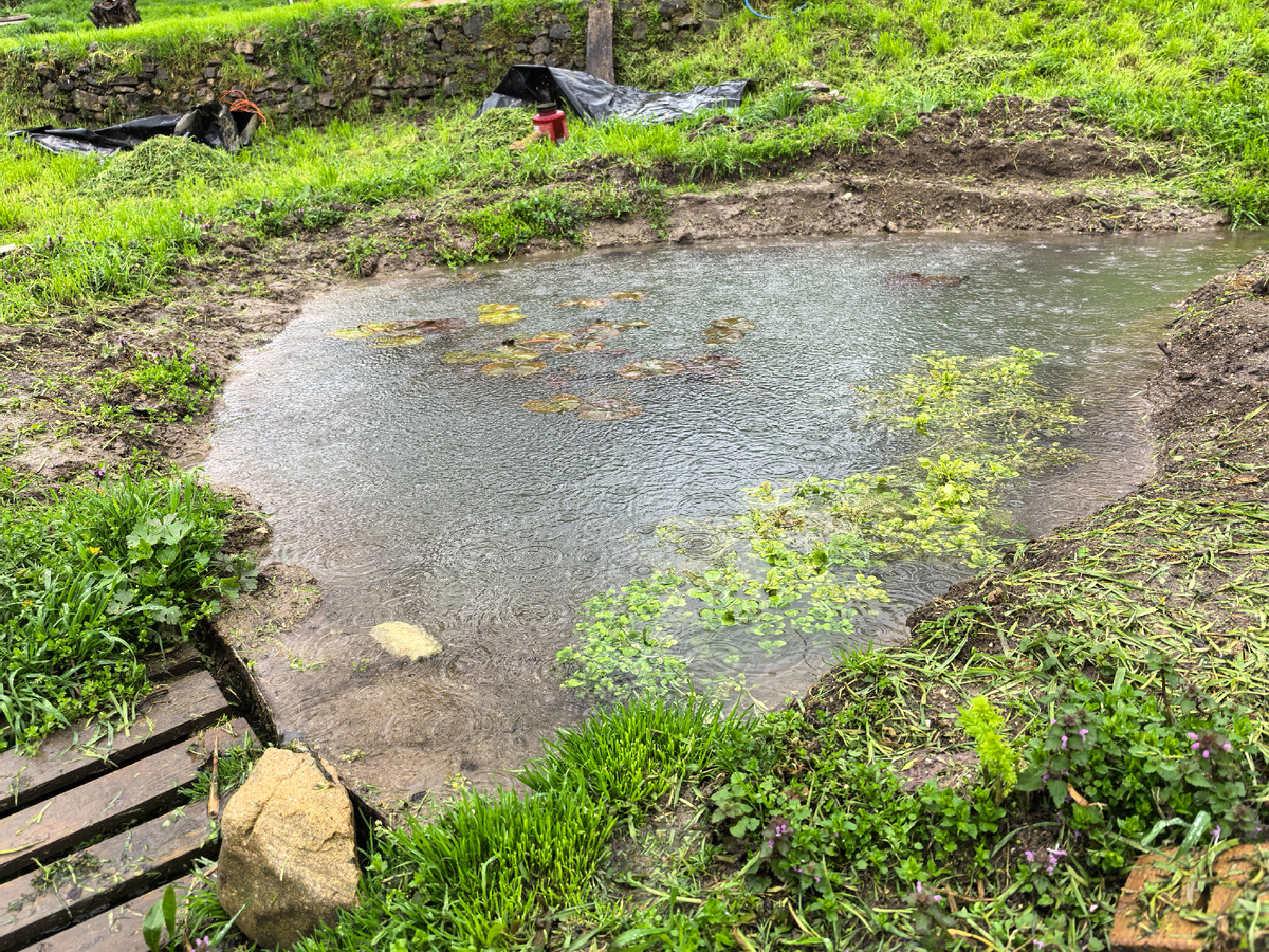 Рыбам все равно