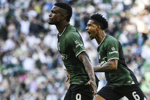 Андрей Шрамко/РИА Новости   📷