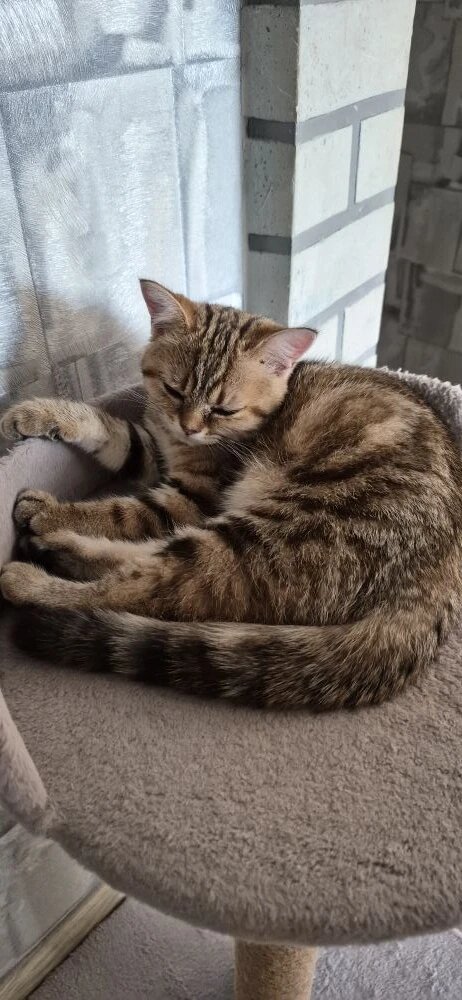 Наша маленькая Эля