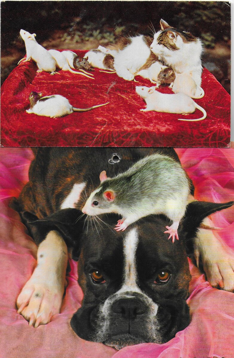 Открытка 1971 года и квартальный календарь 2008 года