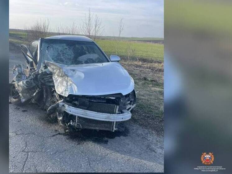     Столкновение автомобилей в Губкинском округе закончилось трагедией, фото: t.me/gibdd_31