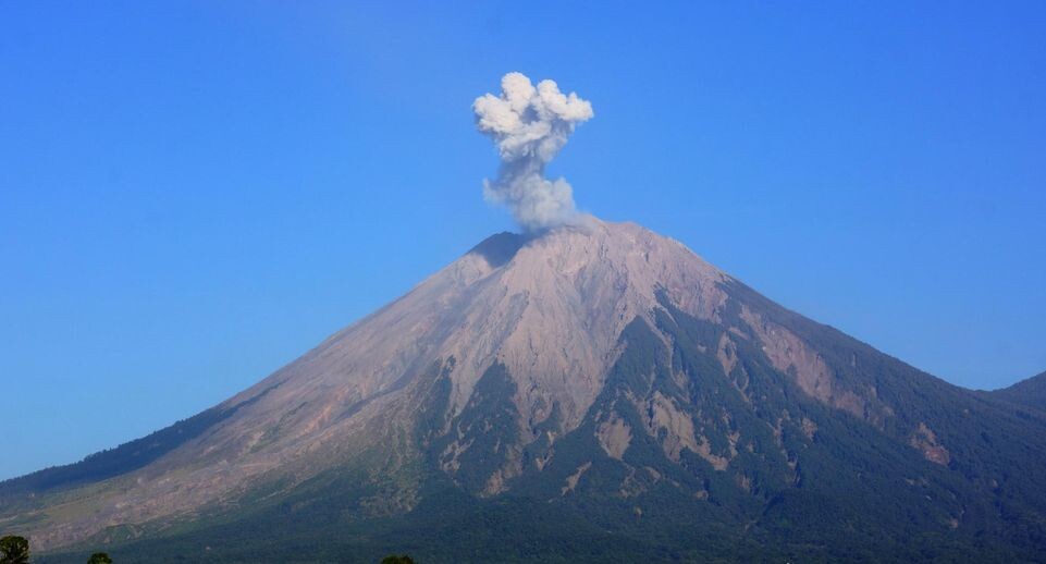    Dwi Sasongko/XinHua / www.globallookpress.com