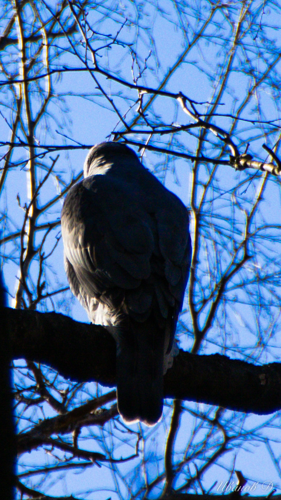 Фото - март 2026