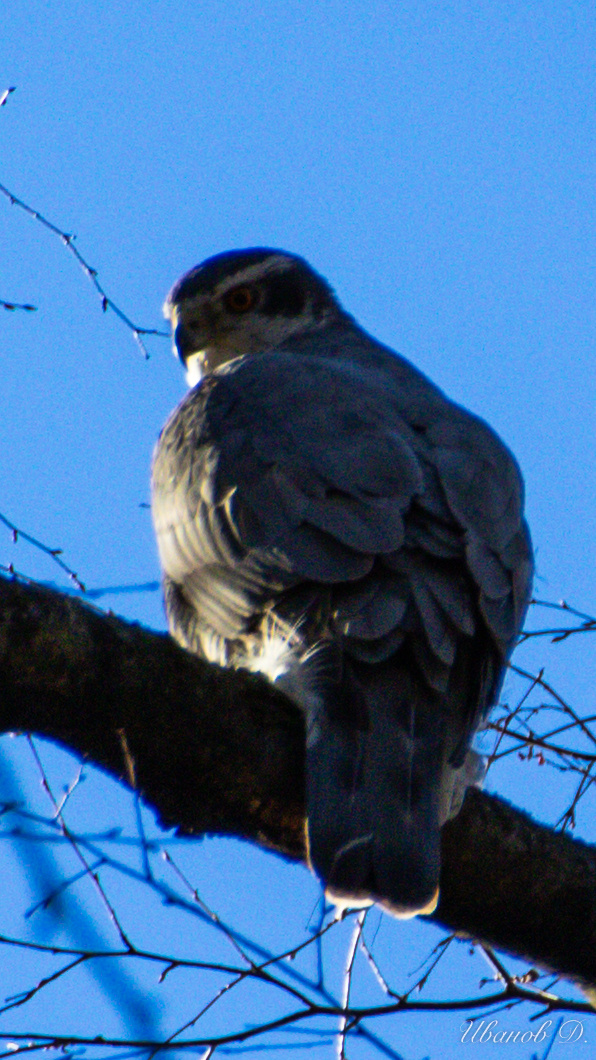 Фото - март 2026