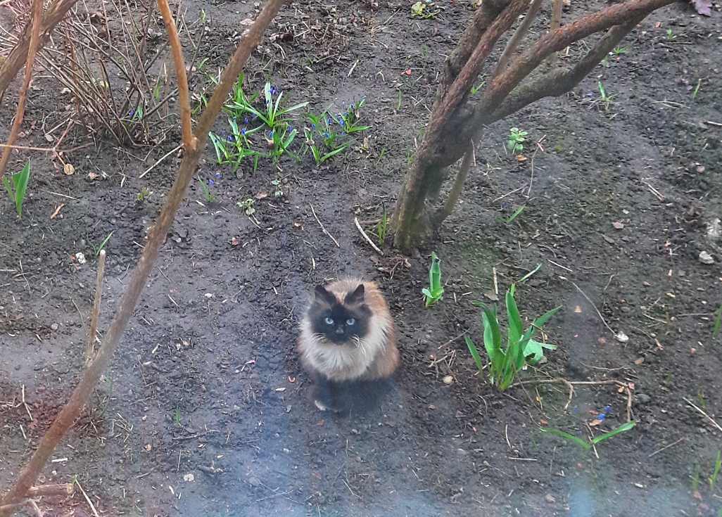 Маруся-экстрасенс