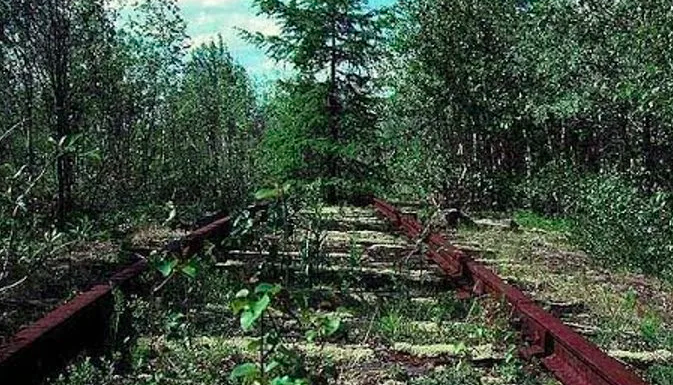 По следу женщины, сбежавшей с крупной суммой денег