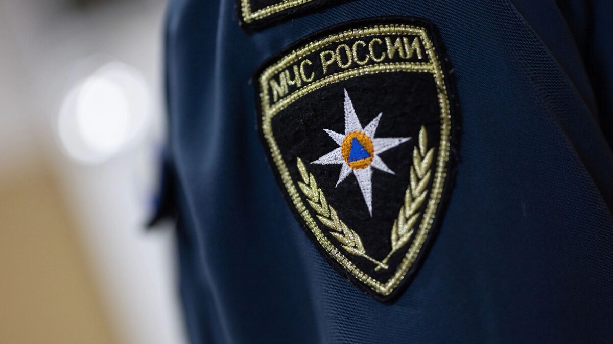    Фото: Юлия Чудинова/«Ямал-Медиа»