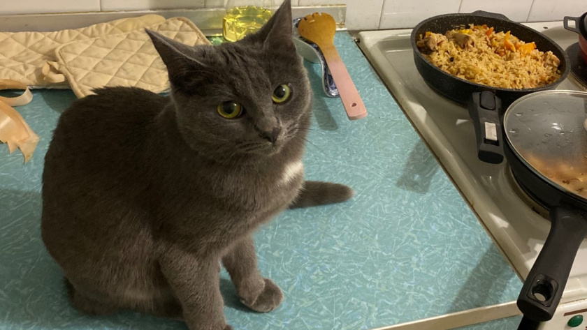    Фото редакции