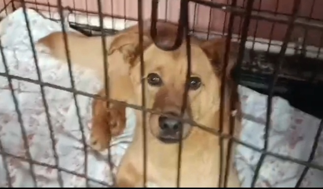 Степашка. Наконец-то узнали его настоящее имя и возраст