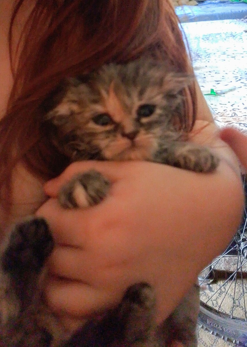 Качество фото не очень, но пока только так сфоткать получилось