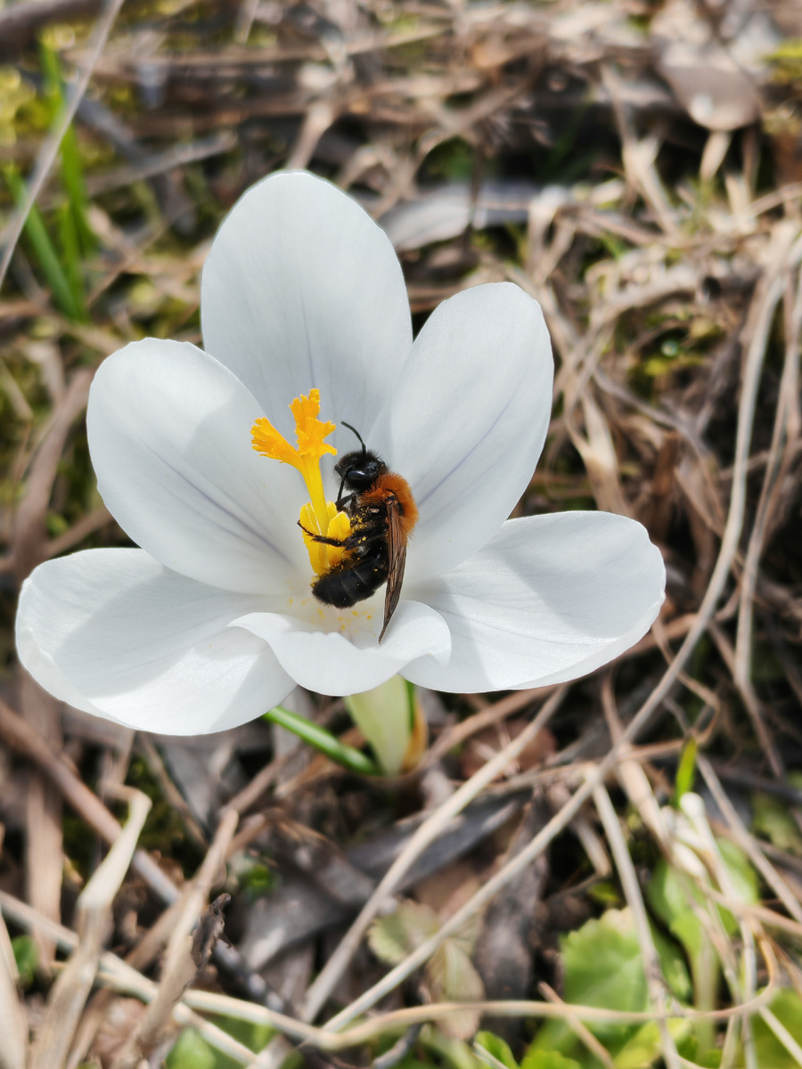 Сегодня на даче 🌸