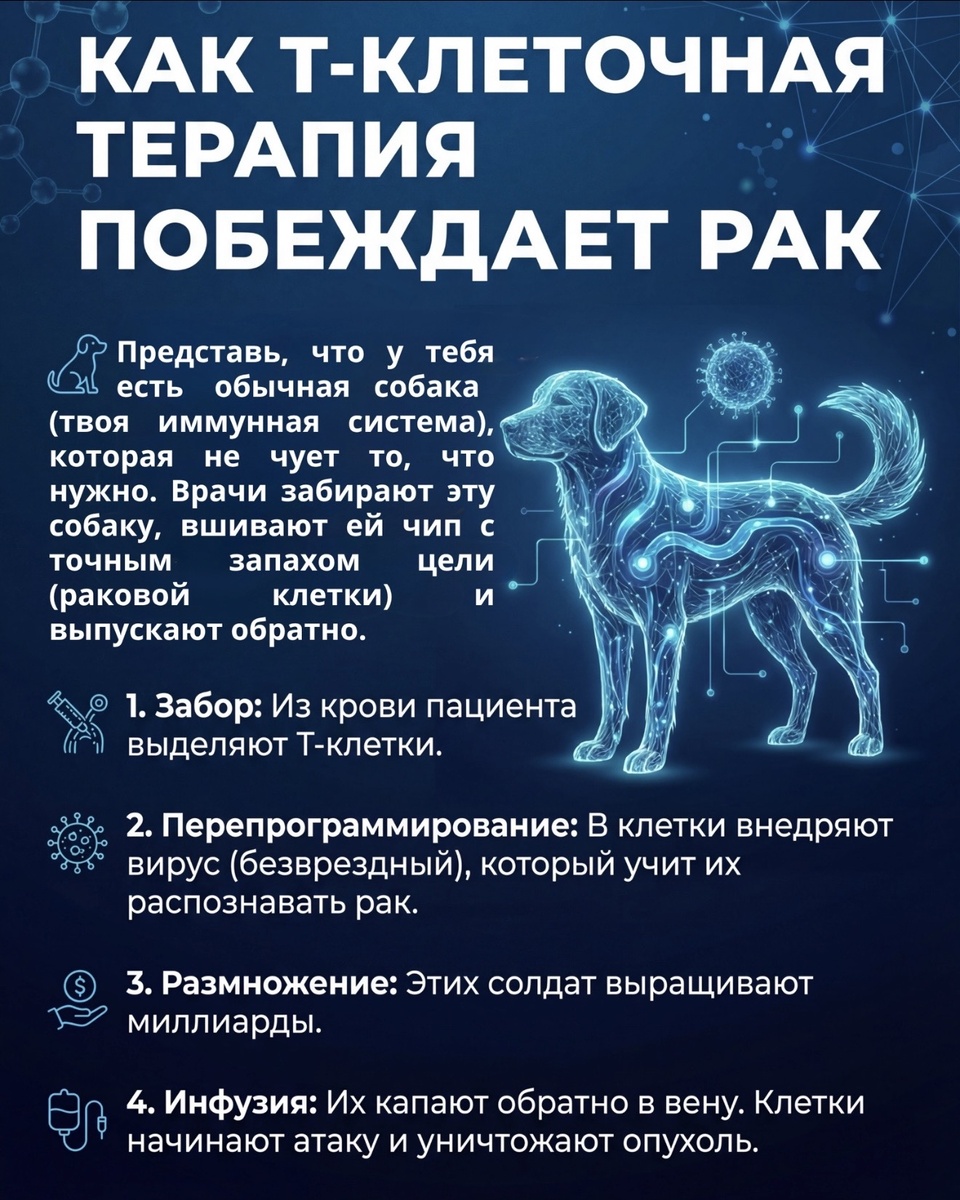 Автор: Елена Фёдоровна Сатирова — жизнерадостный онколог 