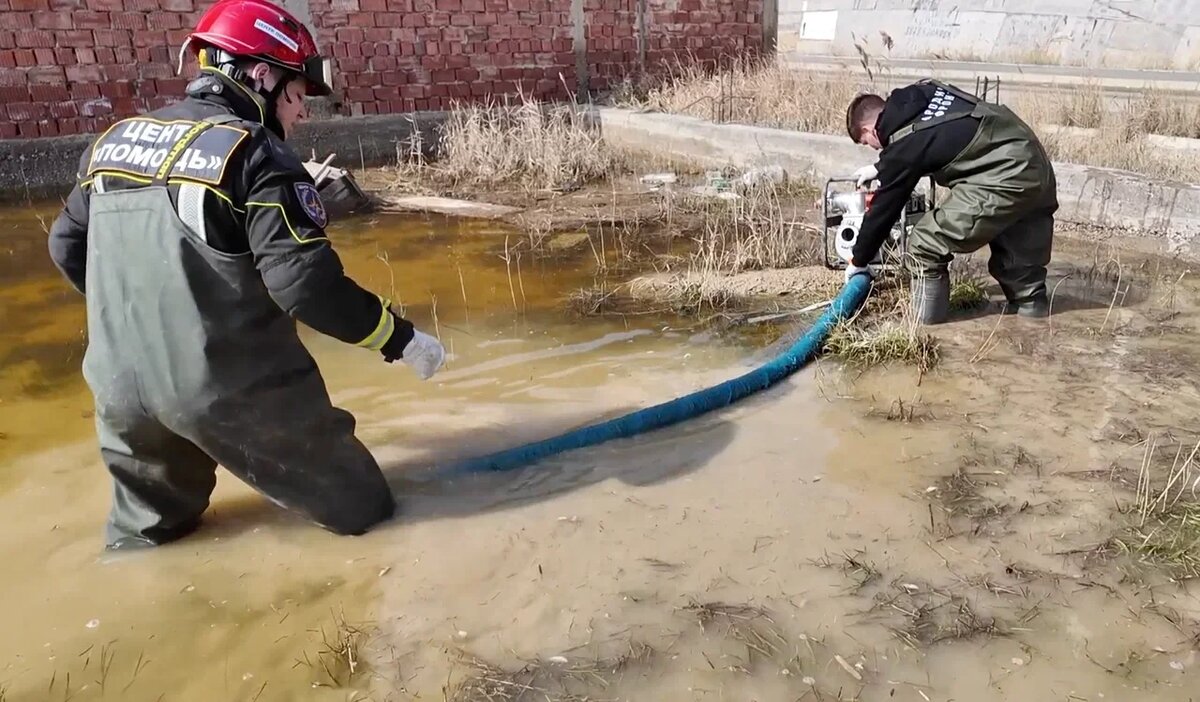    Фото: Народный фронт