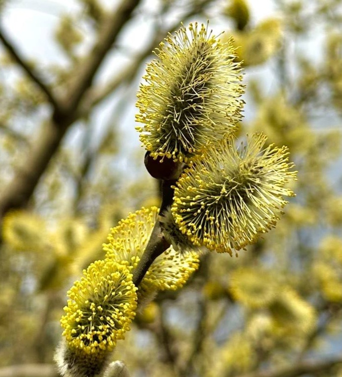 Фото автора канала.