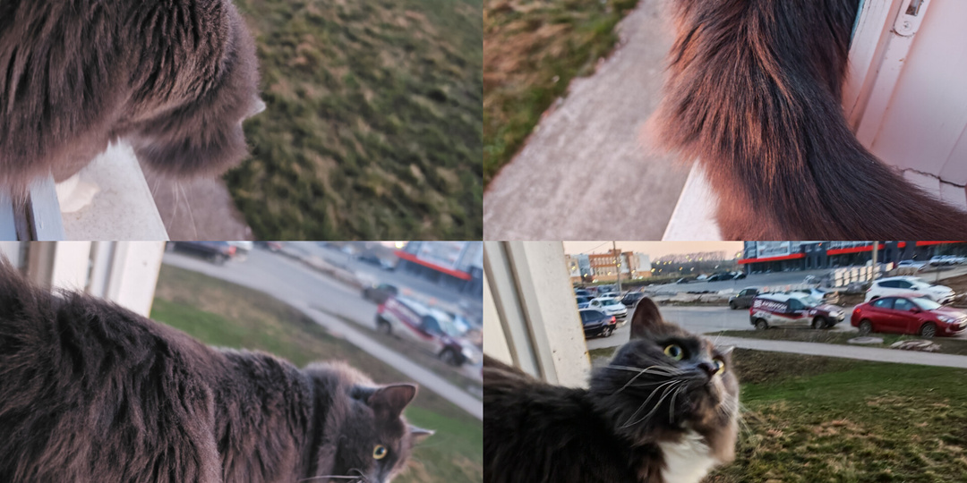 Понемногу обо всём. С праздником!