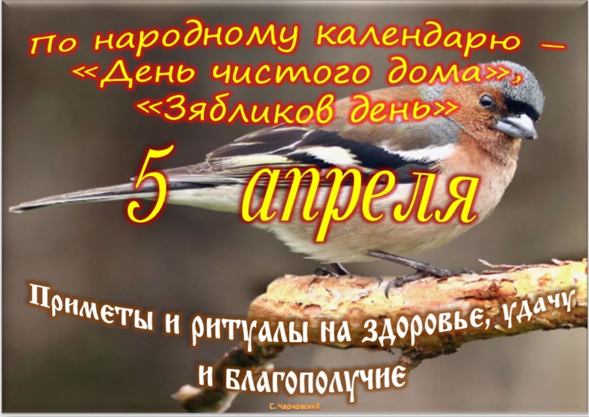 Встречаем новый день