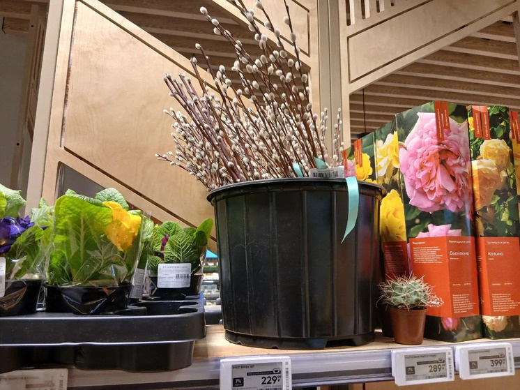     Фото: МК в Питере / Наталья Морозова