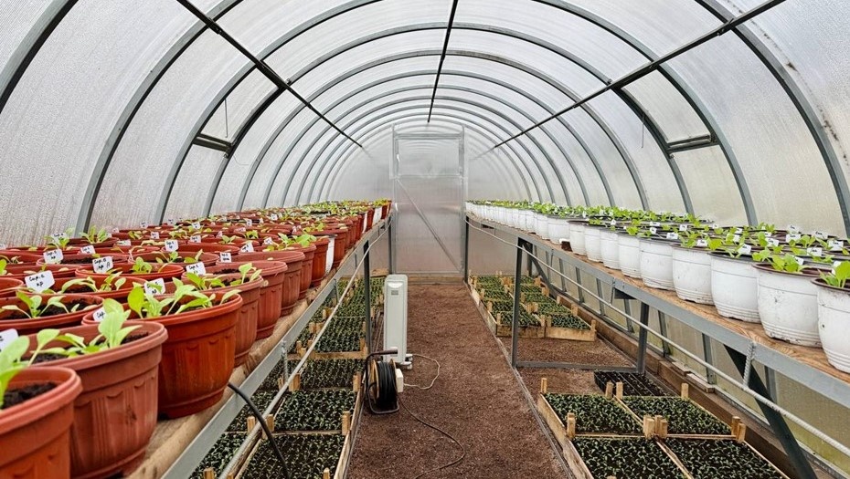    Автор фото: t.me/razumishkin