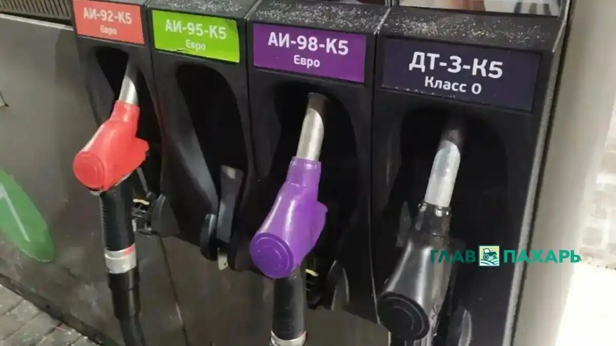 Фото: © Артём Борисов / «ГлавПахарь» / Glavpahar.ru
Правительство РФ распространило временные ограничения экспорта бензина на производителей нефтепродуктов