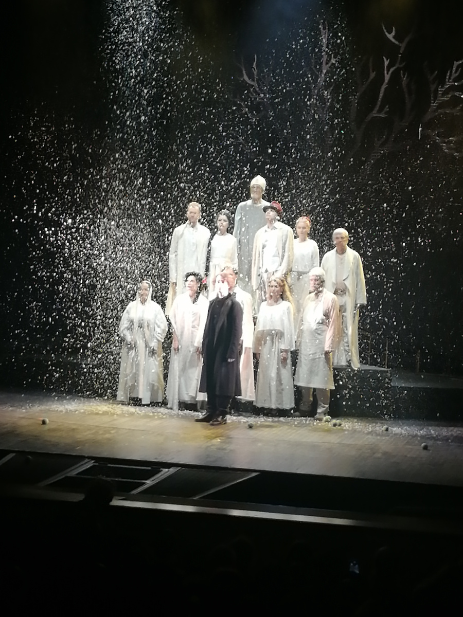 Фото со спектакля. С 13 ряда фото получилось не очень на старый телефон. 