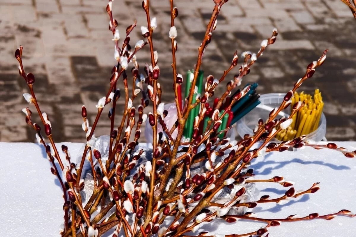    В этот день верующие несут в храмы веточки вербы, чтобы освятить их, а затем хранят дома целый год.