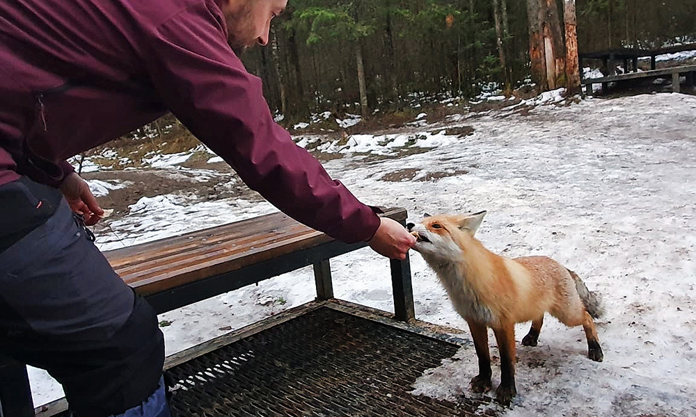    © TVC.RU/Анастасия Гуцкова