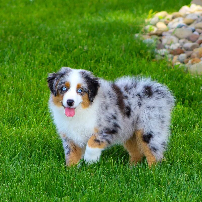 Картинка из открытых источников