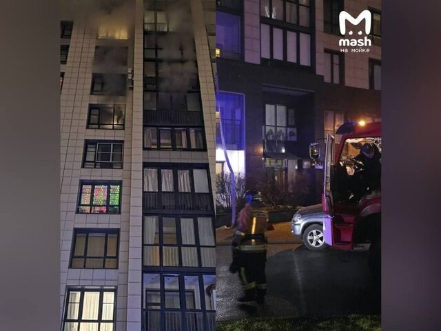    Фото: телеграм-канал "Mash на Мойке"